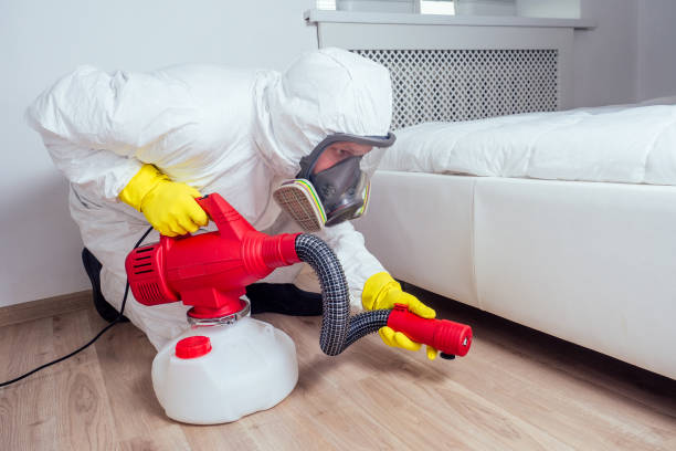 Best Fumigation Services  in Forest City, NC